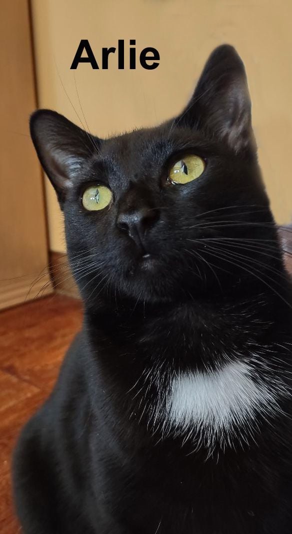 Arlie Dowl. (sister of Addison and roommate of Tabitha)