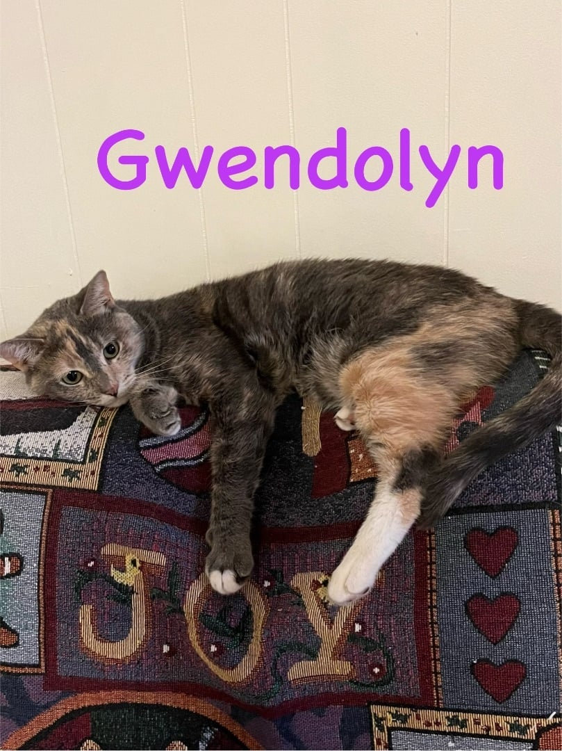 Gwendolyn  
