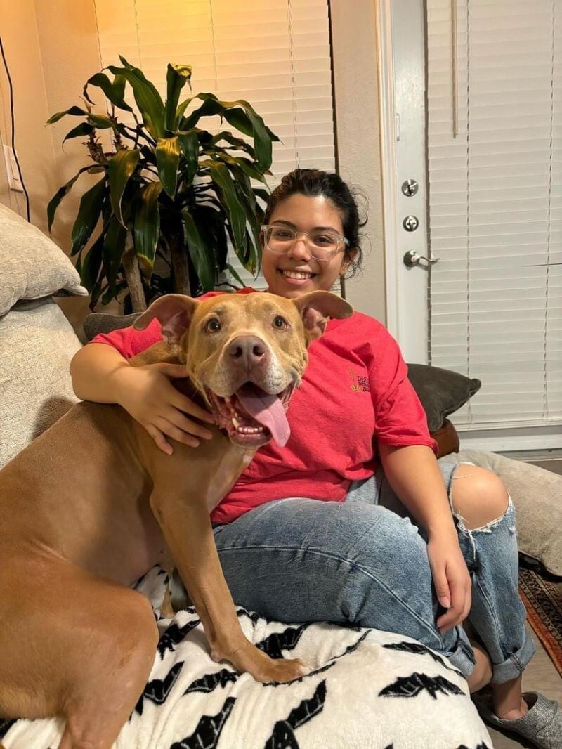 Squeekers Ark the apartment boy