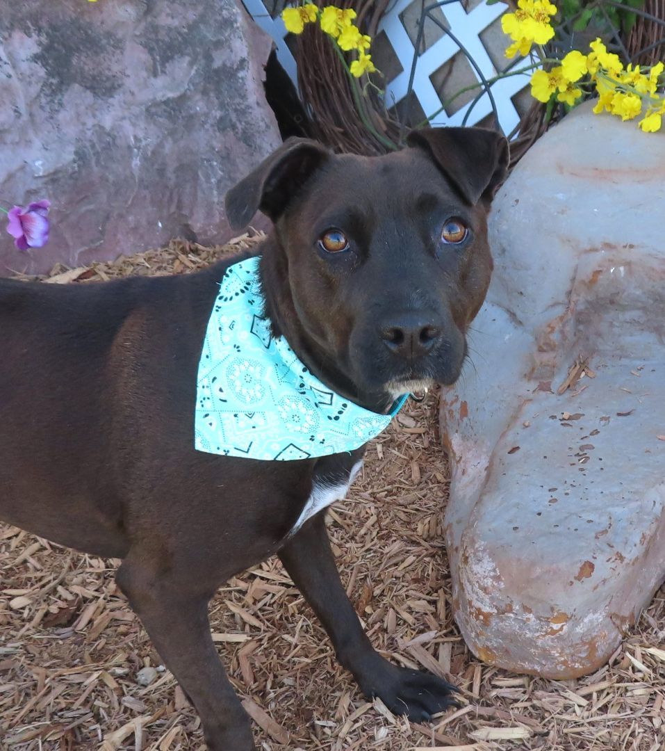 MARLO 426699 Please read my story...