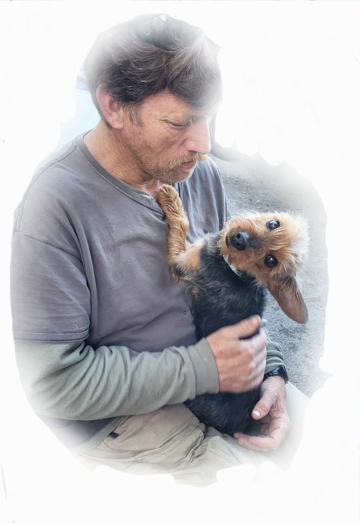 Thunder Lightening Yorkie!!