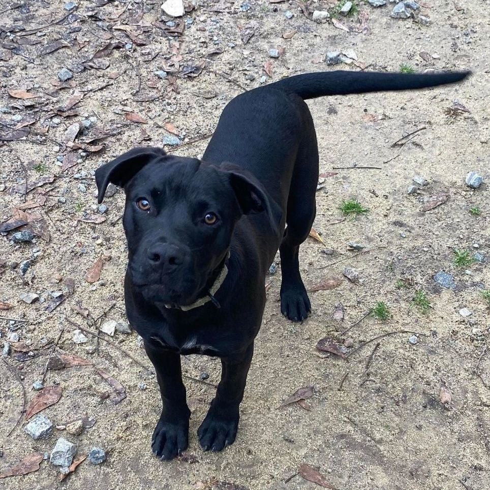 Austin (Coming soon)