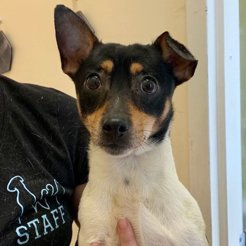 Lucas, Louie, Sebastian, Finn, Luke, Leon