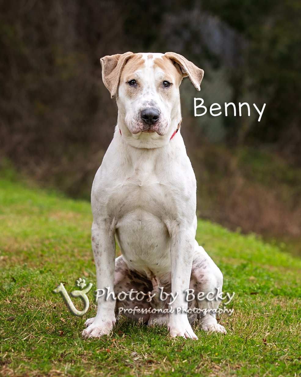 Benny