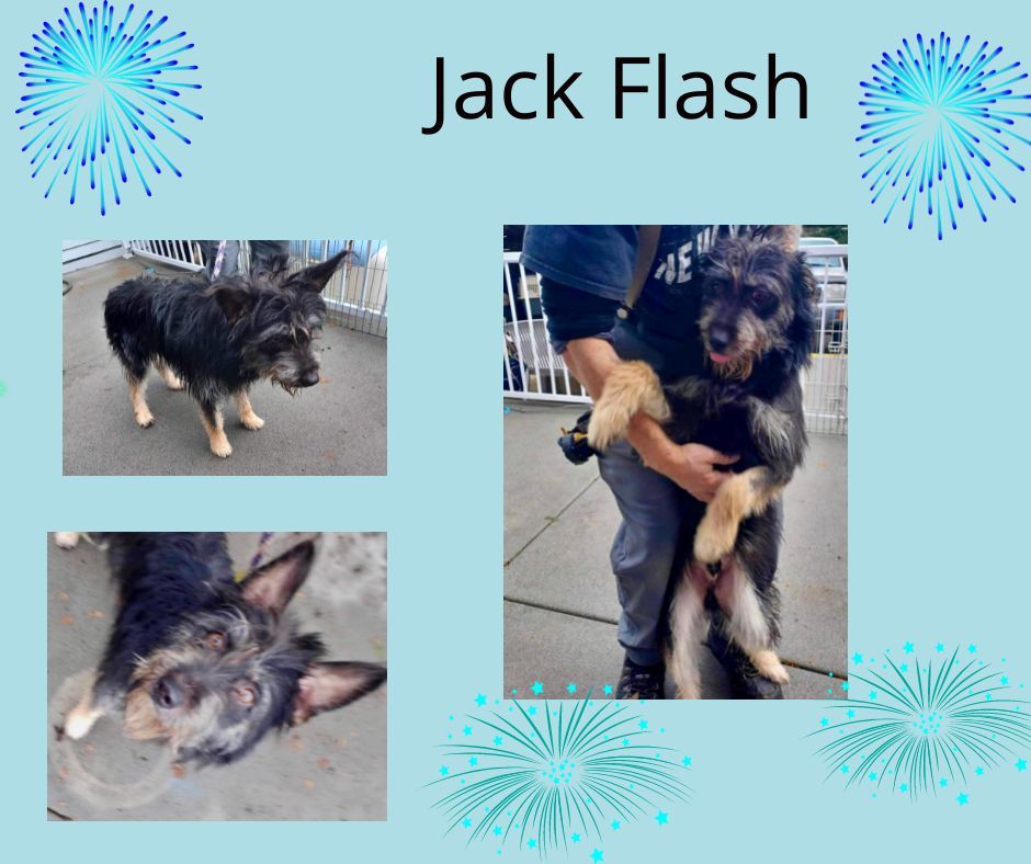 Jack Flash