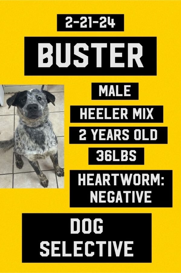 Buster