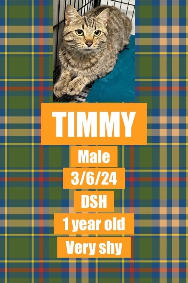 Timmy