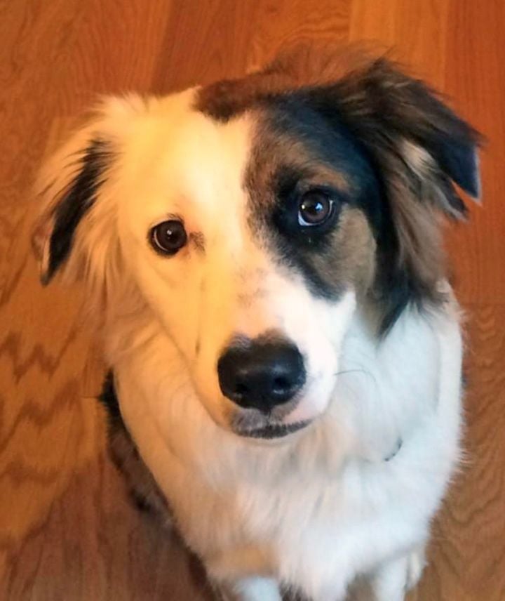 COURTESY POST - Clyde