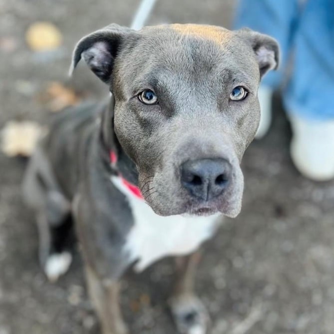 Eve- loves her furry friends 