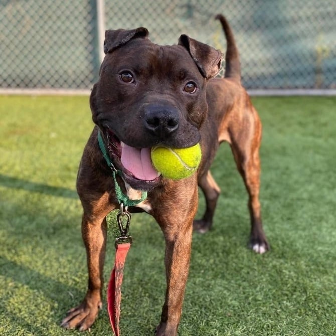 Marshall- can you hear me now?