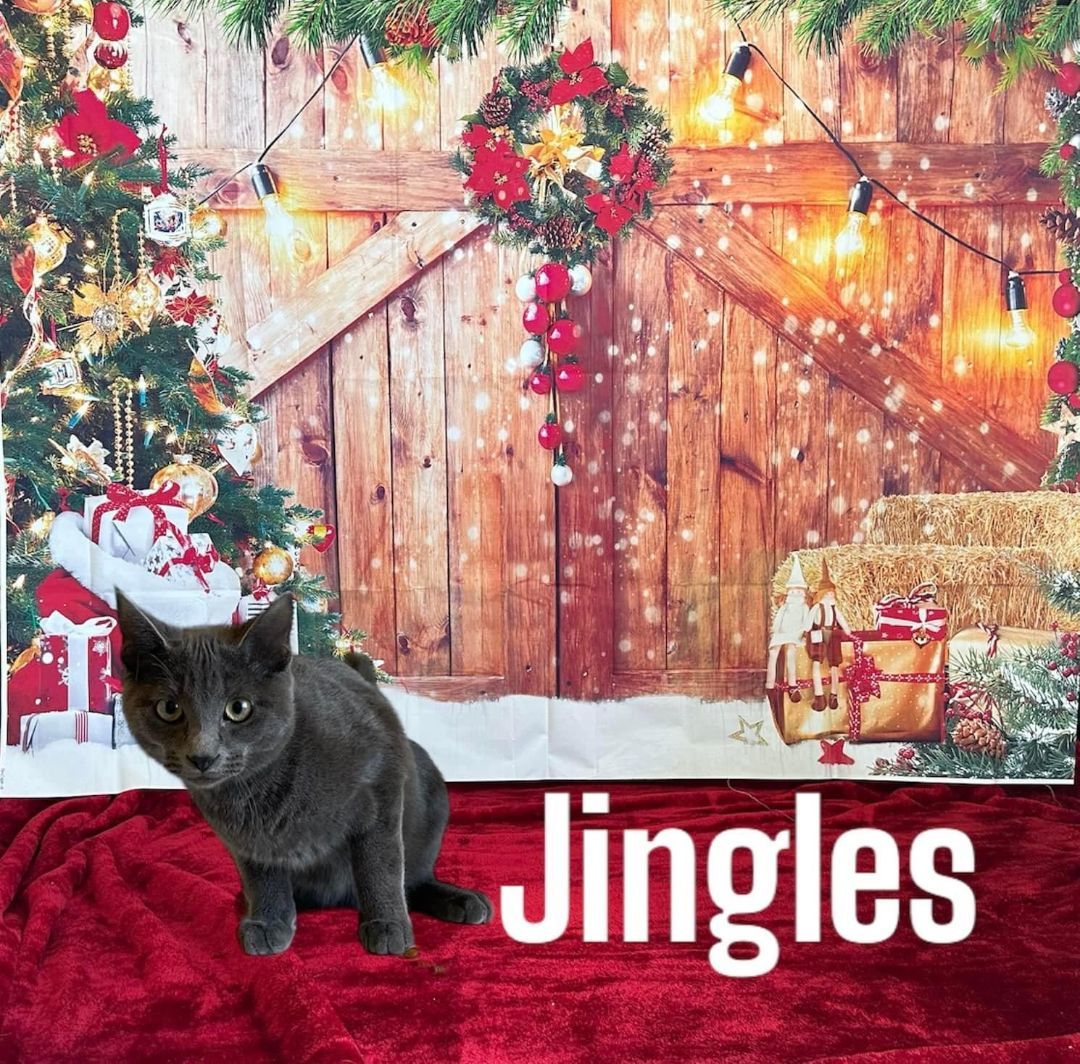 Jingles