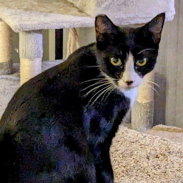 Andrew (with Alexis)