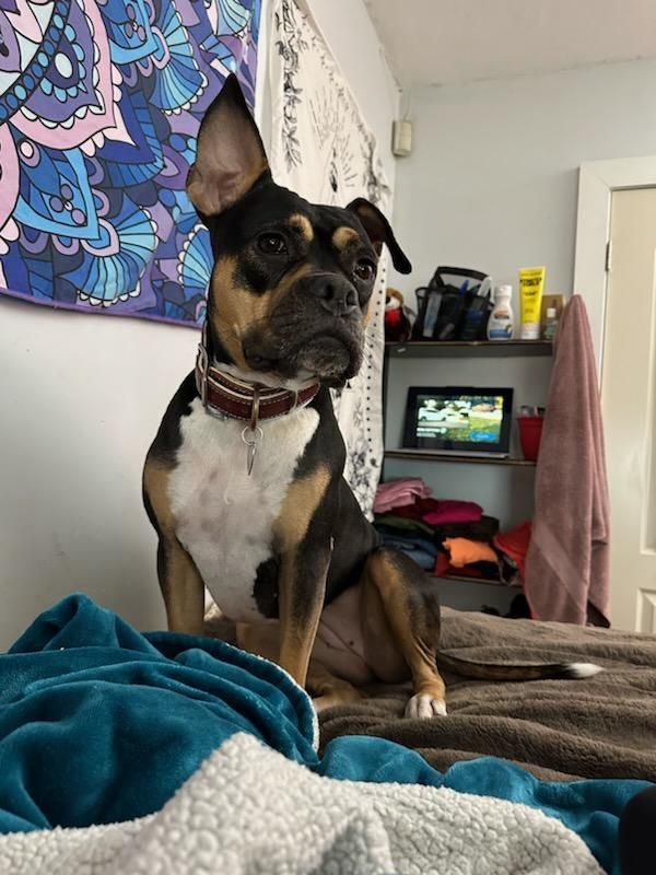 Lottie *courtesy post*