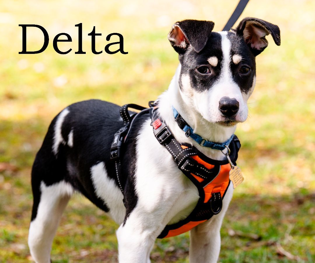 Delta