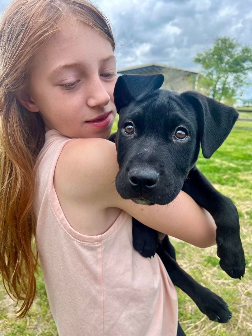 Denali Park Cuddly Boy