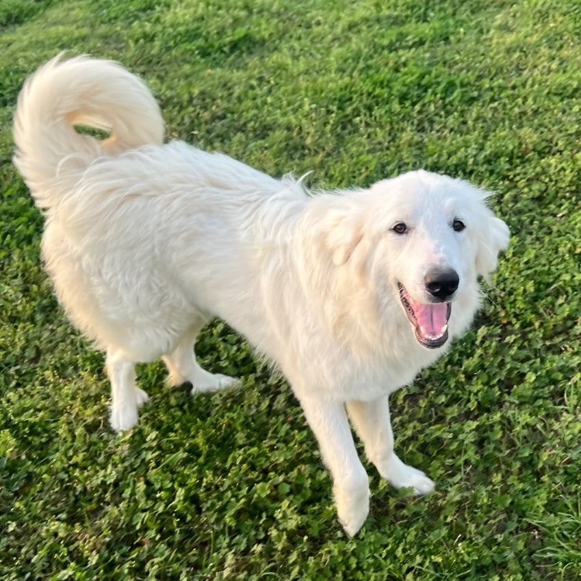 Sandy - Local March 22-24