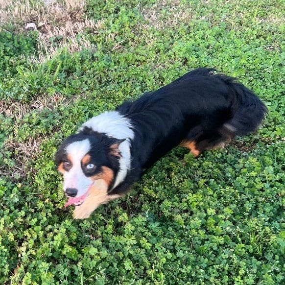 Bennett - Local March 22-24