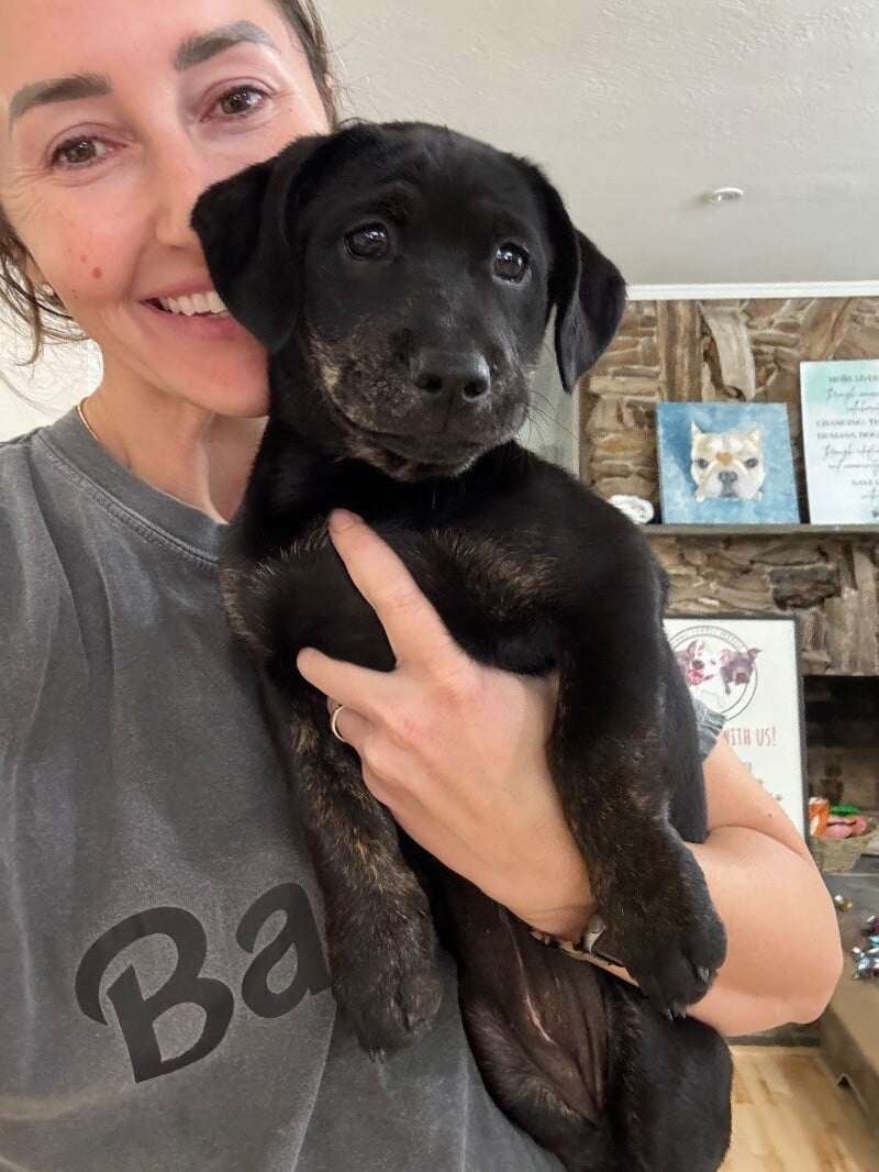 Rosita Venus softest puppy ever