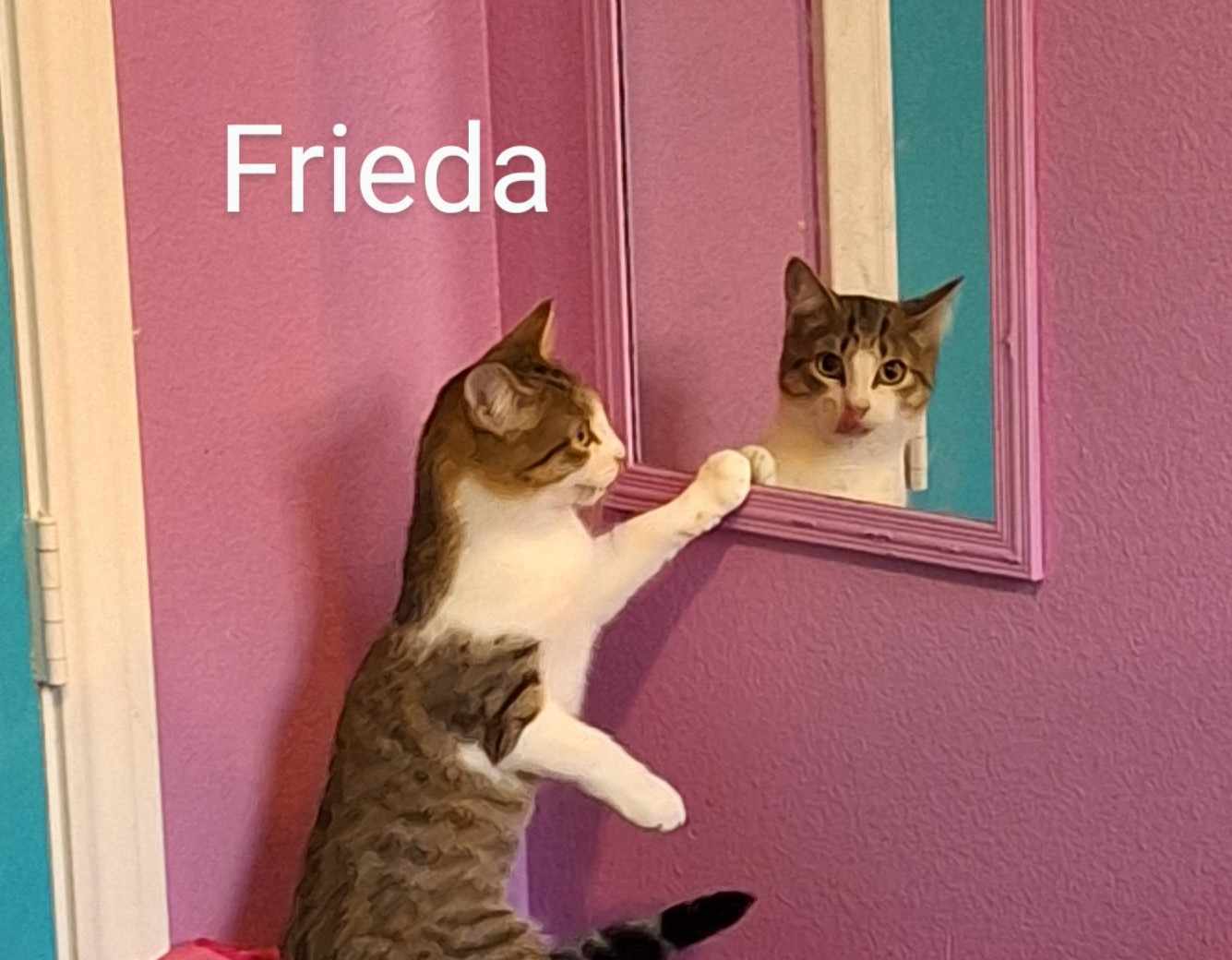 Frieda