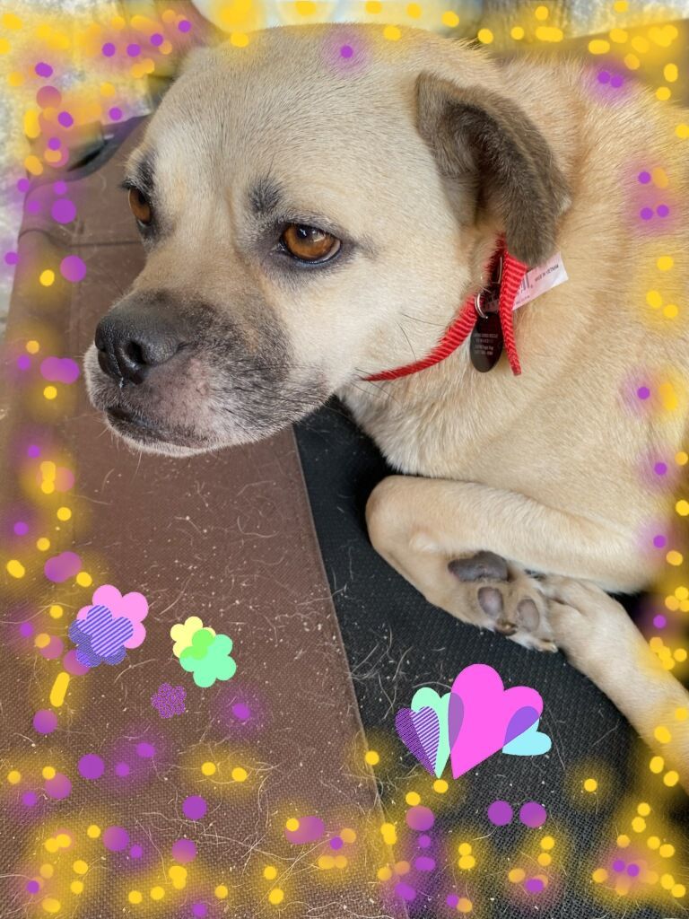 Cinderella..Rags to Riches