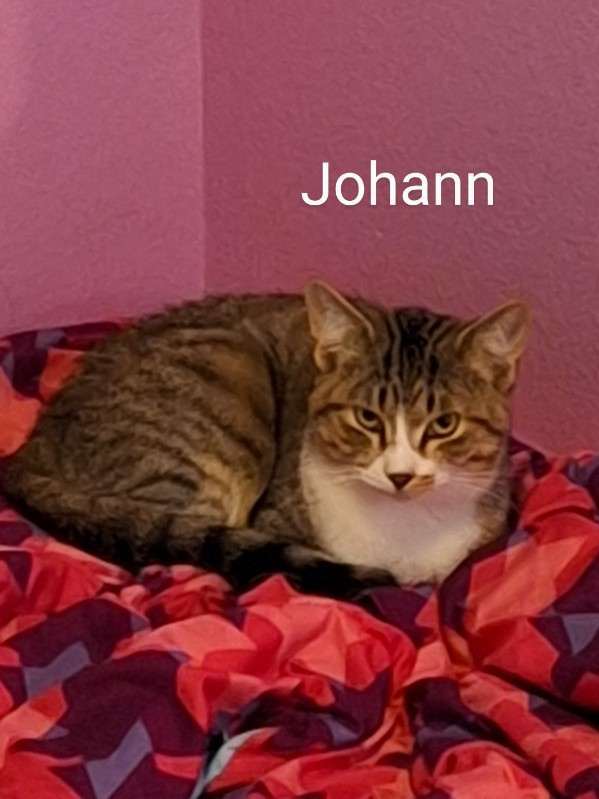 Johann