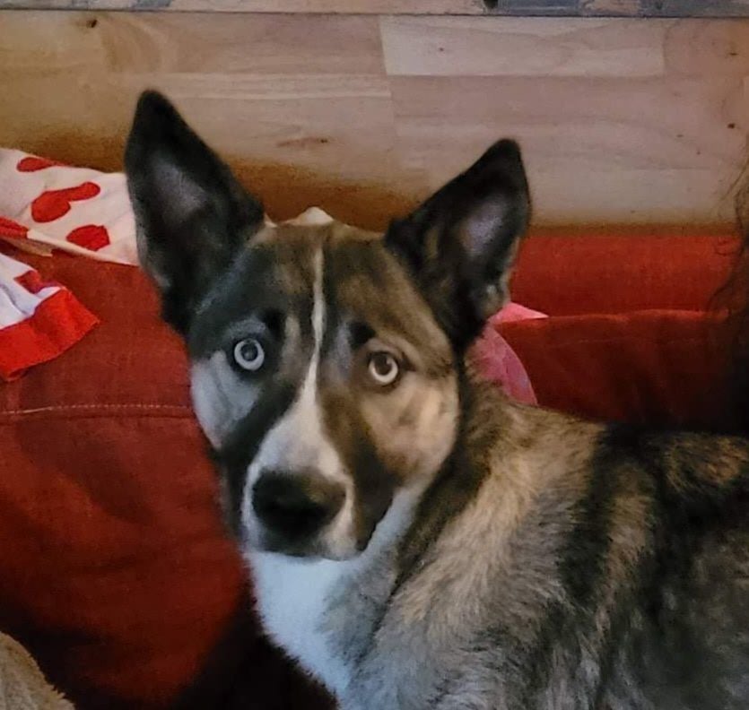 **COURTESY LISTING** Anna