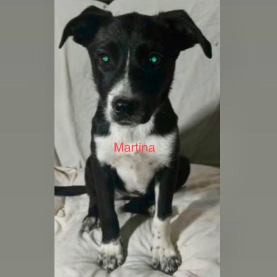 Martina