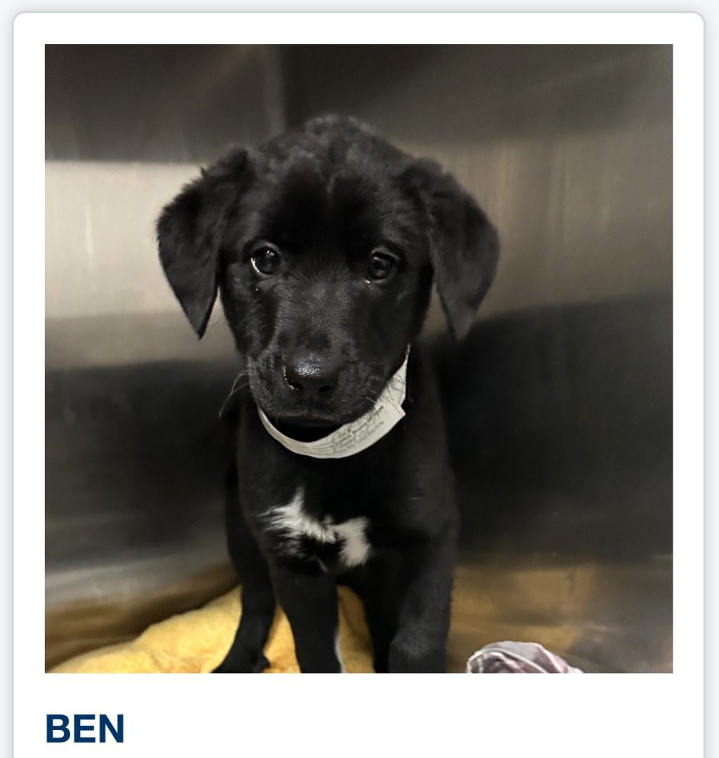 Ben