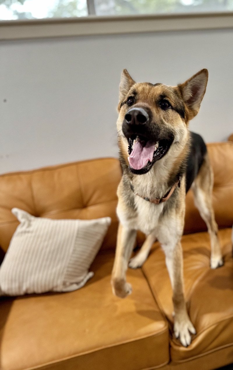 Angelo Ark Funny Boy