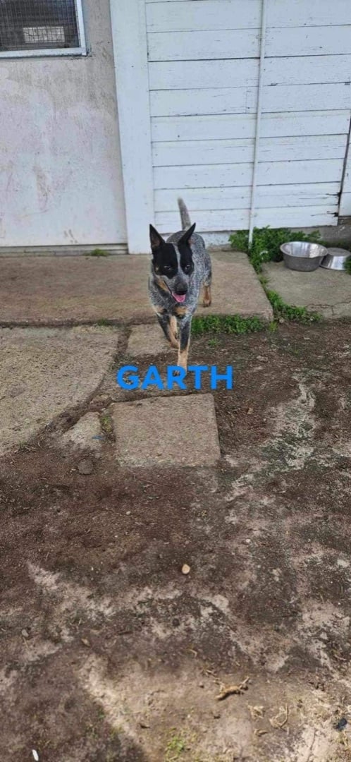 Garth