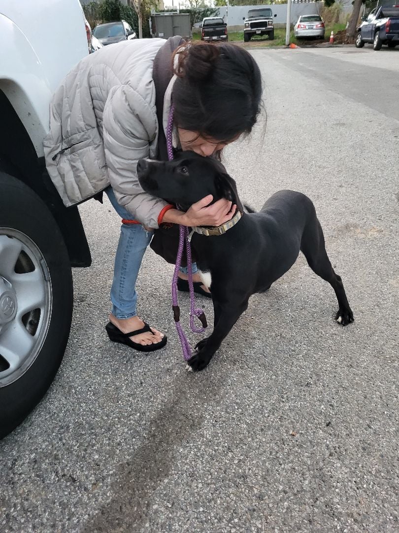 Zuzu's Petals:  It's a Wonderful Life!!