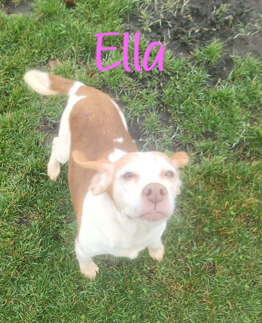 Ella