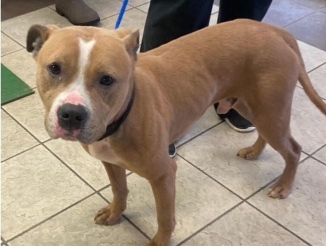 Gavin- Run 26 tag 31 avail 3/15