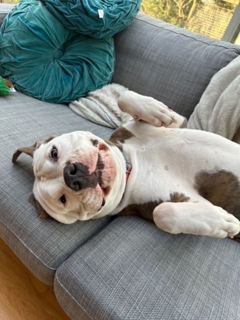 Bronx -Located in Seattle WA area