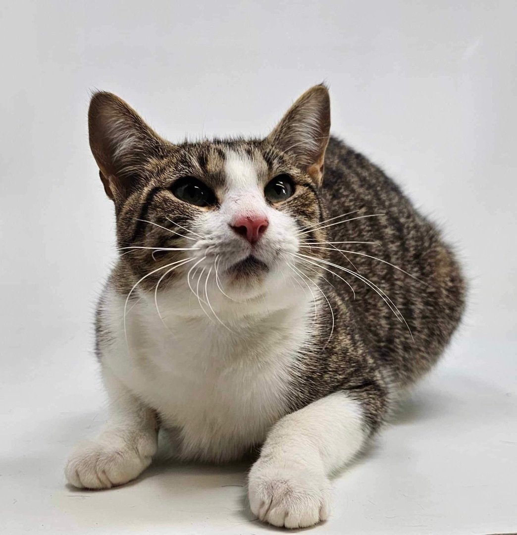 Ithaca *foster needed*