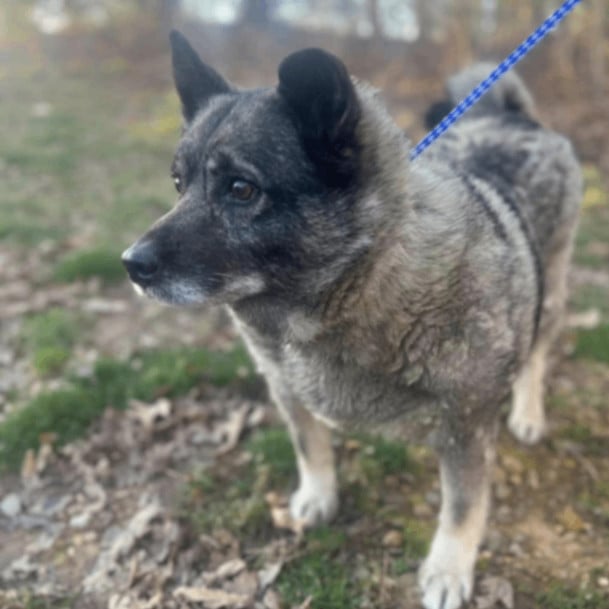 Wham Bam Thank You Ma'am