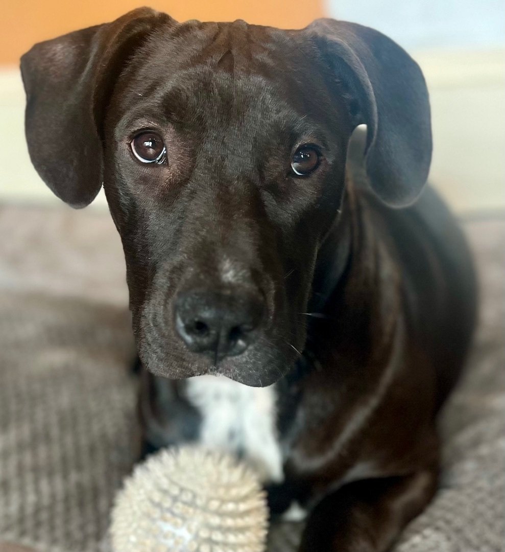 Charlie Brown in Rhode Island 