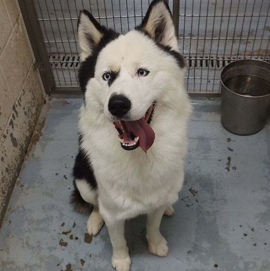 176291 LOOKING FOR OWNER