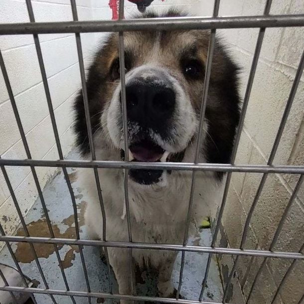 176339 LOOKING FOR OWNER