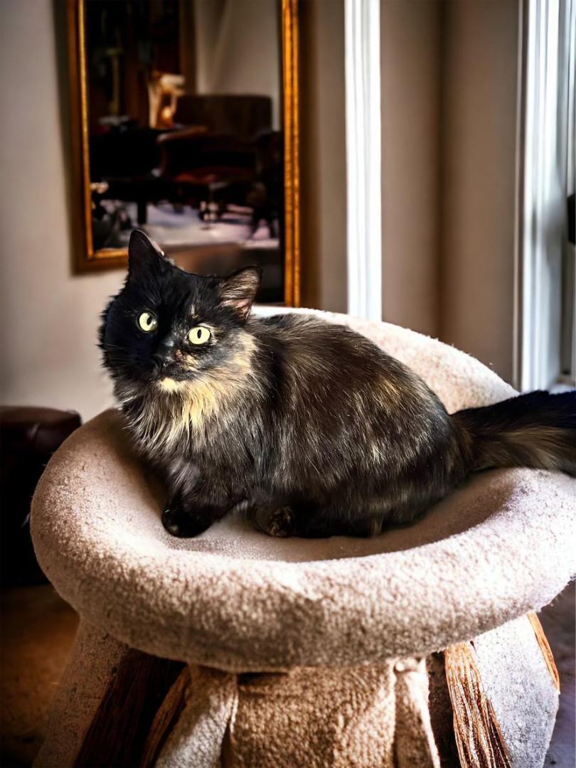 Alexis is our SUPER sweet SUPERMODEL!