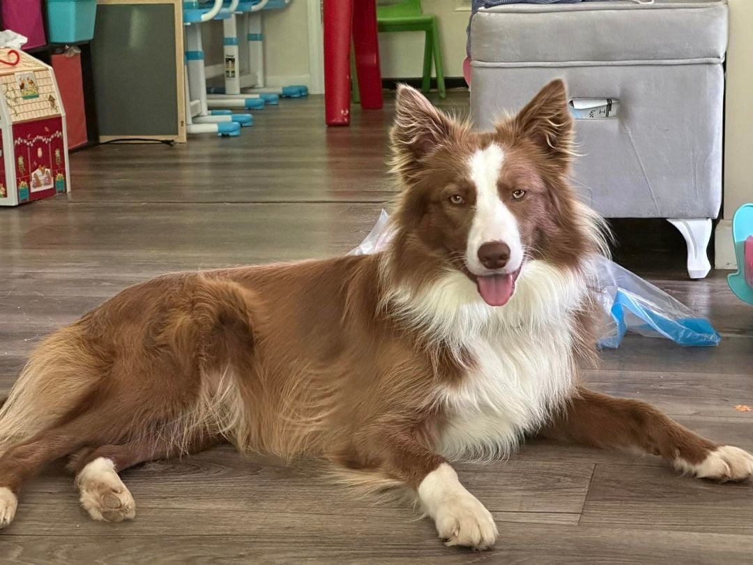 PENNY - COURTESY LISTING 