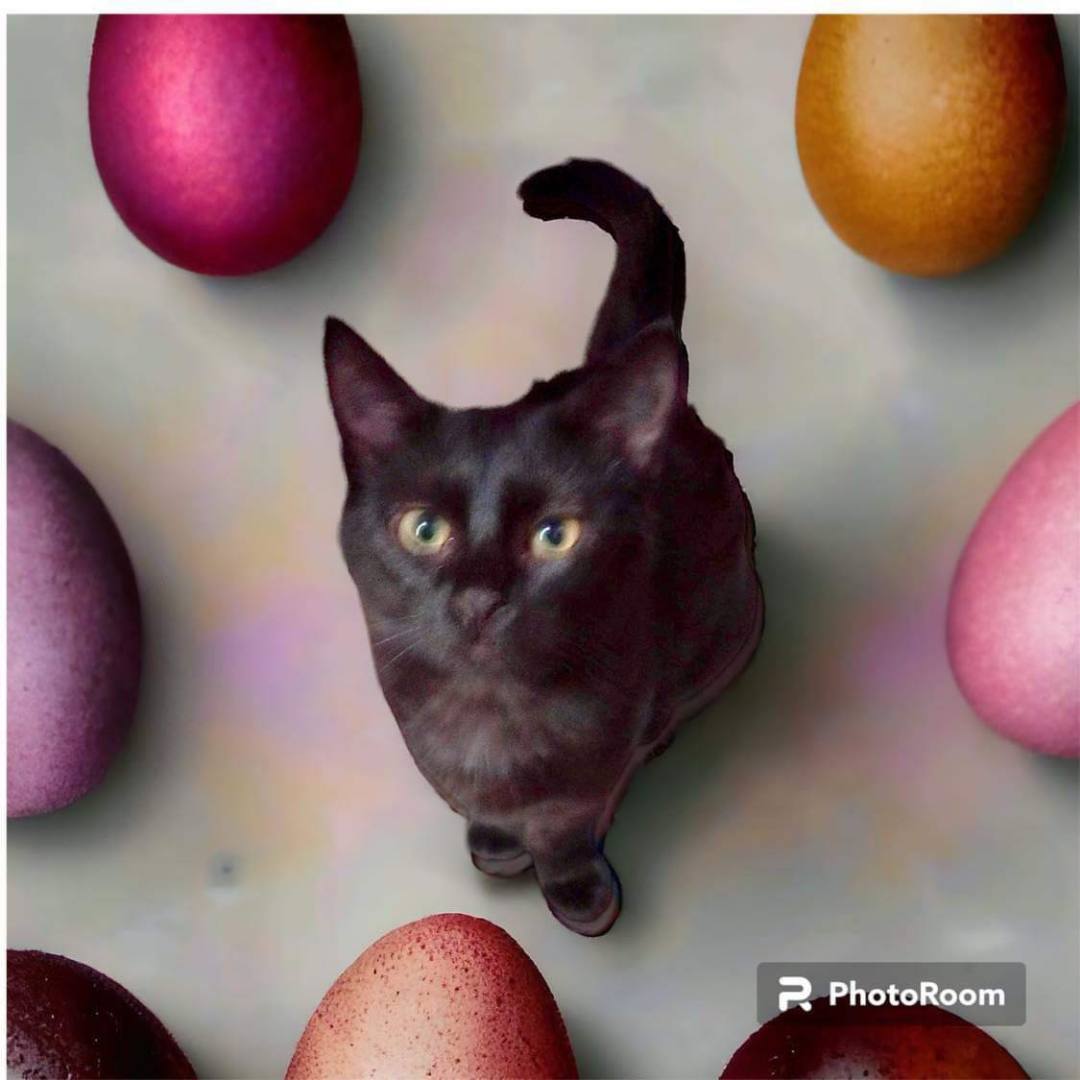 Super Sonic is super duper awesomeness!  More pics coming!