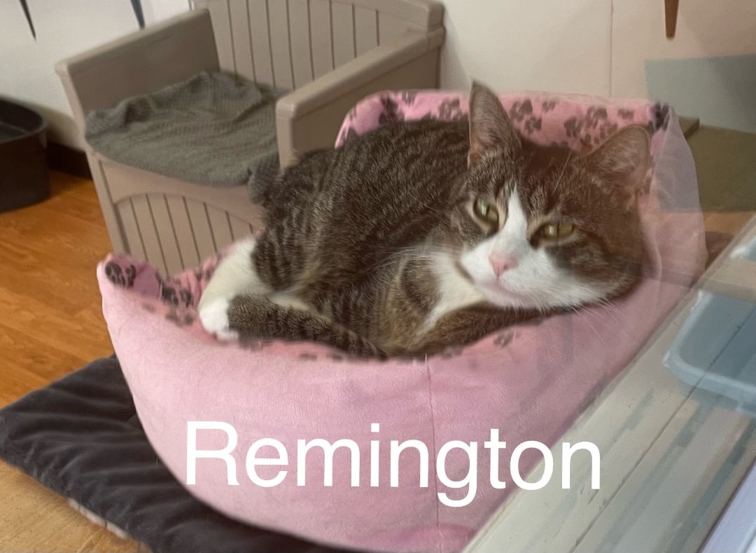 Remmington