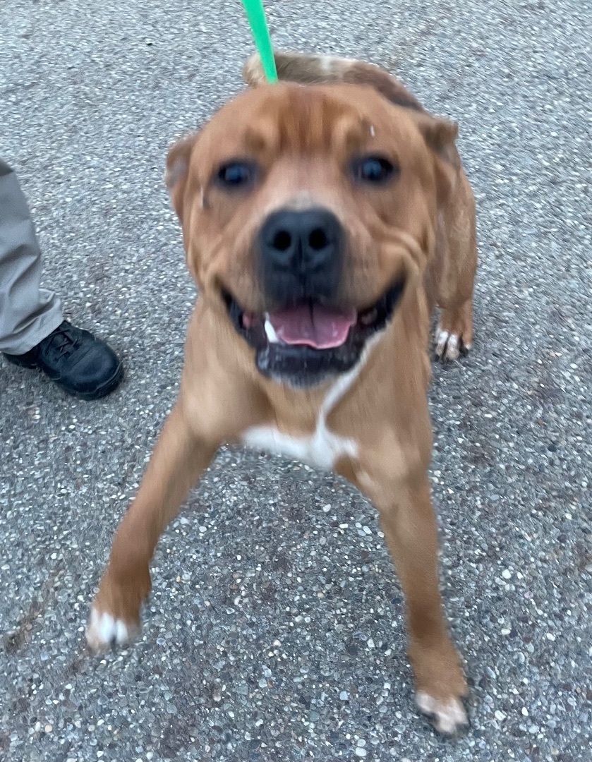 John G8 Hold/ finder will adopt 