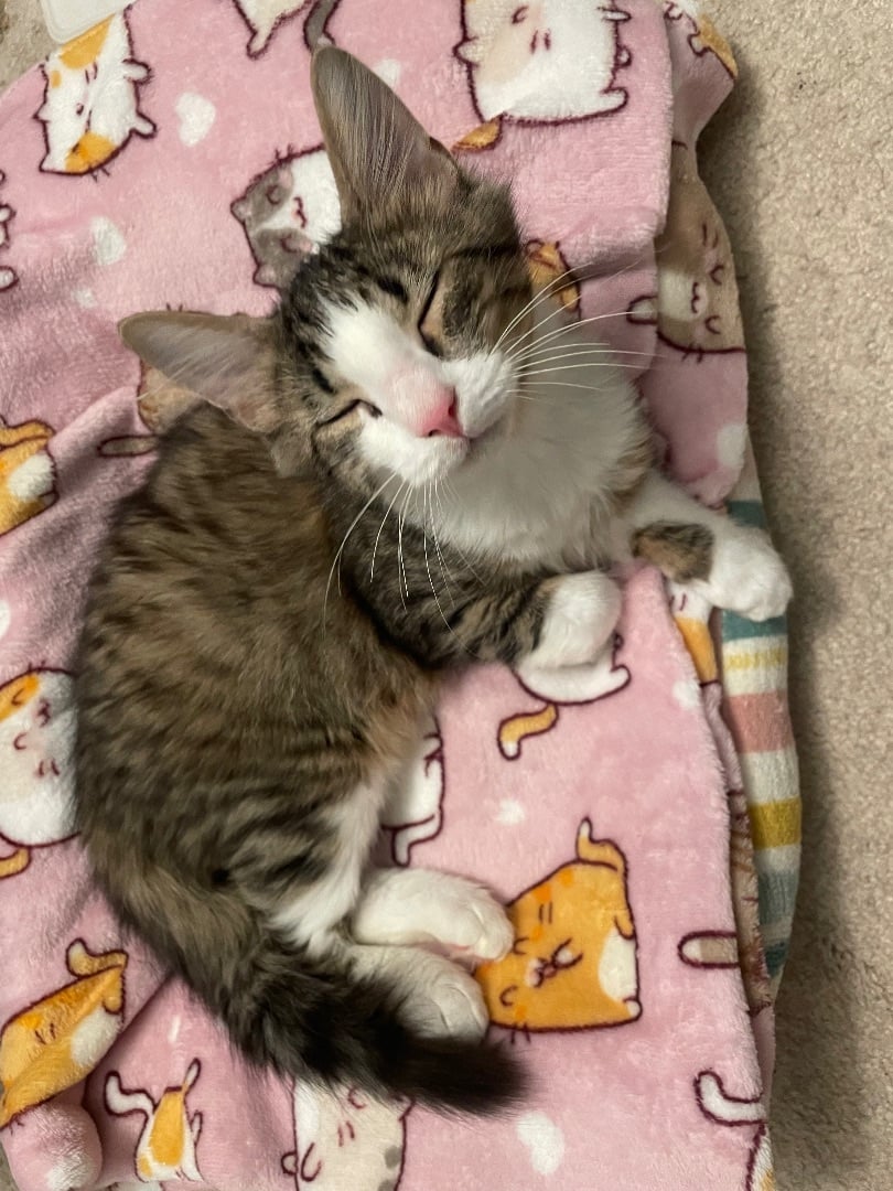 Brooks (m) & Bonnie (f)