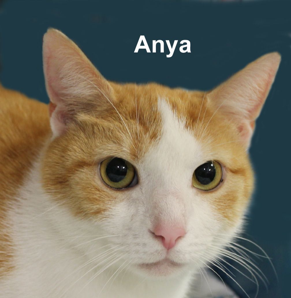 Anya Madd. (friendly, affectionate, and funny)