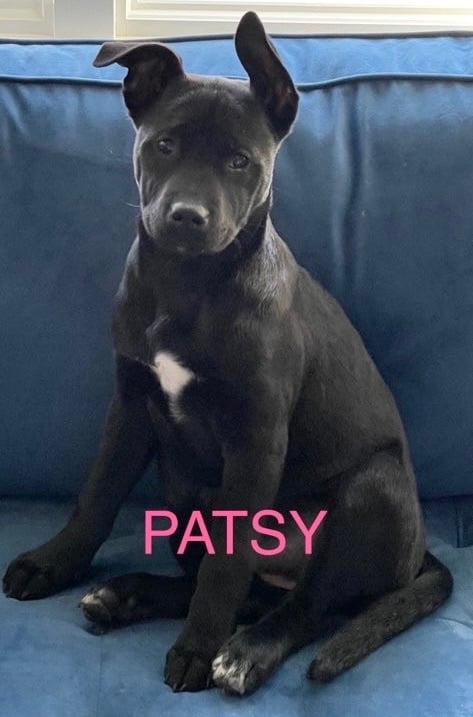 Patsy