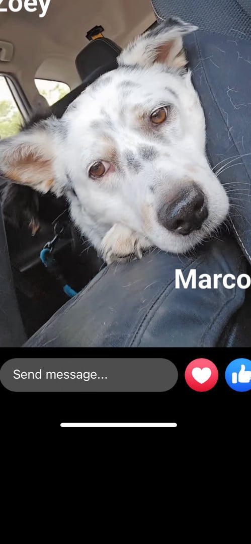 Marco