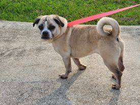 Olette Sarabellum aka Belle