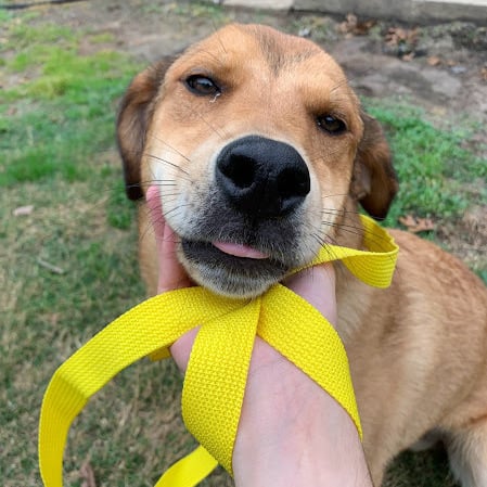 MIMI  (LOVING, SWEET, AFFECTIONATE AND HAPPY)